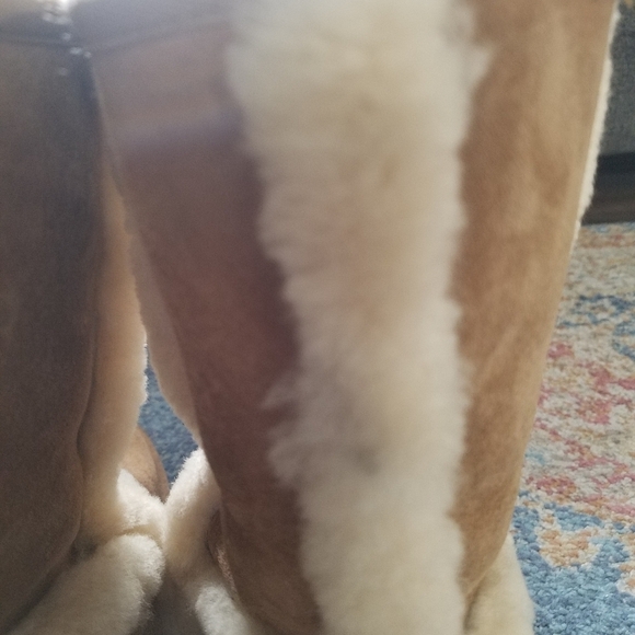 Ugg Carter suede sperpa lined boots - Picture 6 of 8